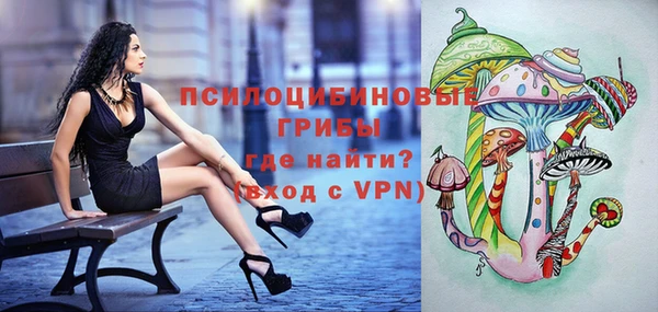 ПСИЛОЦИБИНОВЫЕ ГРИБЫ Алзамай