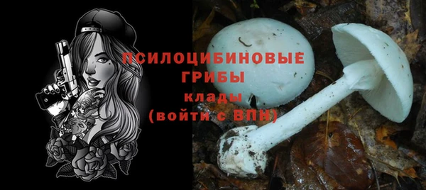 амф Алексин