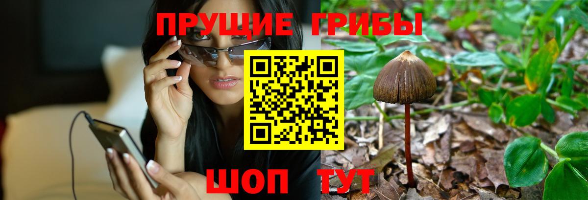 Галлюциногенные грибы мицелий  как найти закладки  Балабаново  Вход с VPN 
